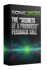 THE “SECRETS OF A PRODUCER” FEEDBACK CALL (HERO VIDEO)