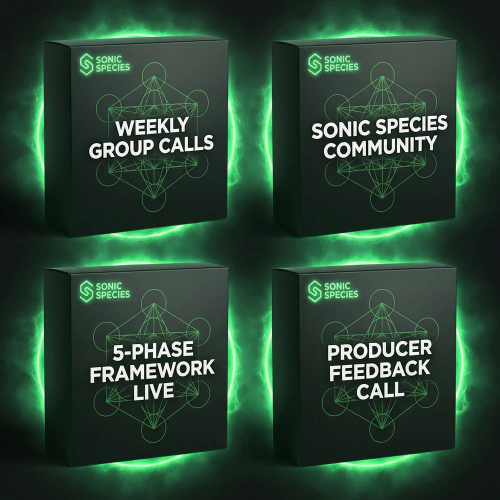 Sonic Mentorship