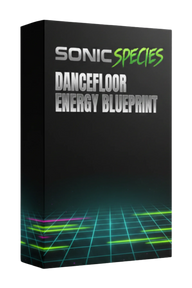 THE DANCEFLOOR ENERGY BLUEPRINT (MINI GUIDE)