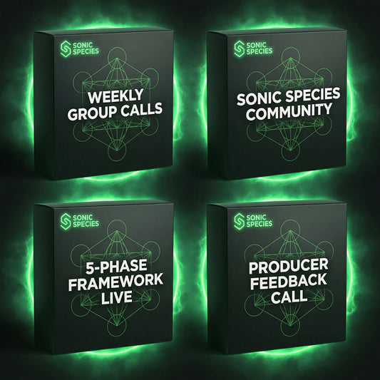 Sonic Mentorship