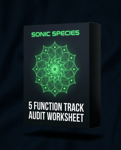 5 Function Track Audit Worksheet Pack cover